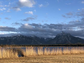 Scenic view of field by lake against sky