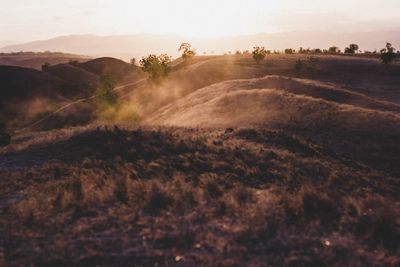 View of landscape during sunset