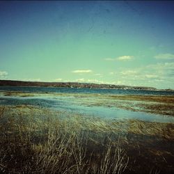 Scenic view of landscape against blue sky