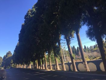 Road amidst trees against clear sky