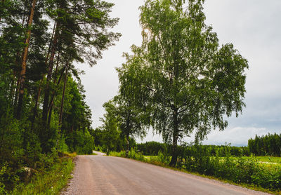 Road amidst trees against sky