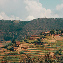 Scenic view of agricultural landscape against sky