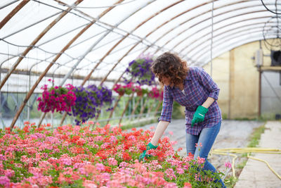 Beautiful woman working greenhouse