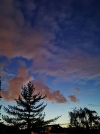 Low angle view of silhouette tree against sky