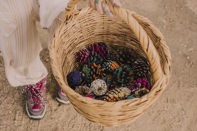 Girl collecting colorful pine cones in wicker basket at park