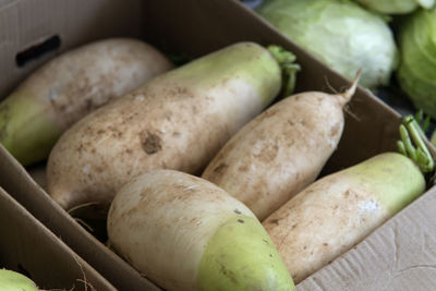 High angle view of radishes in container