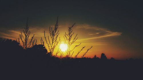 Scenic view of sunset sky