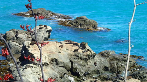 Scenic view of sea against blue sky