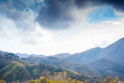 Scenic view of landscape against sky