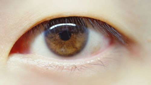 Extreme close-up of boy eye