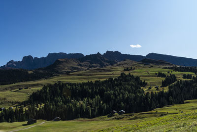 Scenic view of field against clear sky