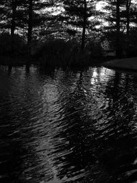 Scenic view of lake in forest