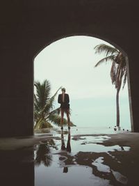 Reflection of trees in water