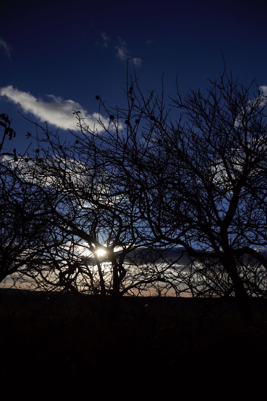 sky, silhouette, no people, sunset, low angle view, outdoors, nature, tranquility, cloud - sky, tree, day