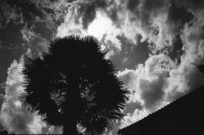 Low angle view of silhouette trees against sky