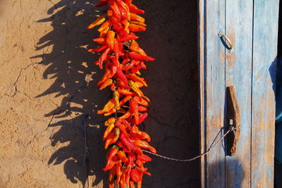 A string of red peppers hung on the wall