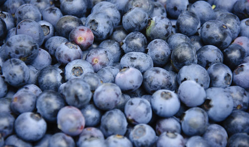 Full frame shot of blueberries