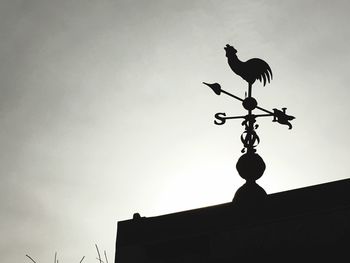 Low angle view of birds perching on railing