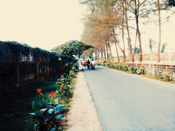 Street amidst plants and trees against sky