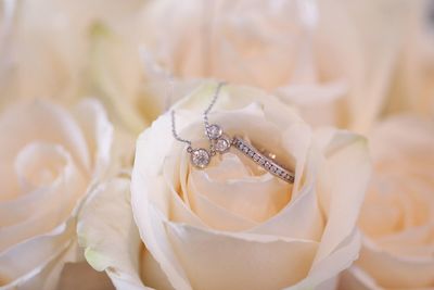Close-up of wedding rings on flower