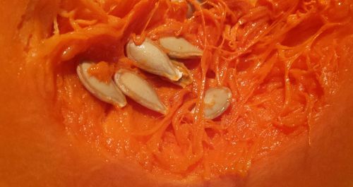 Close-up of red chili peppers