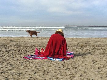 Dog relaxing on beach