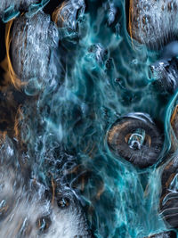 Full frame shot of jellyfish swimming in sea