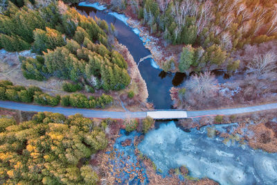 Drone shot of river and bridge in forest