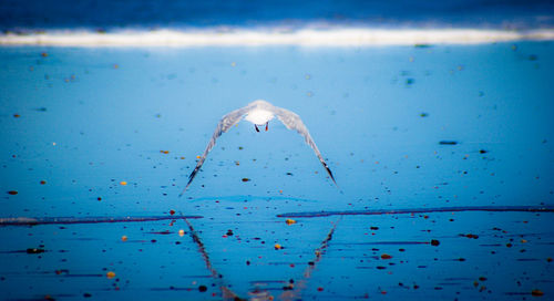 Water drops on blue surface