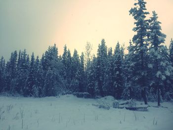 Scenic view of snow covered landscape