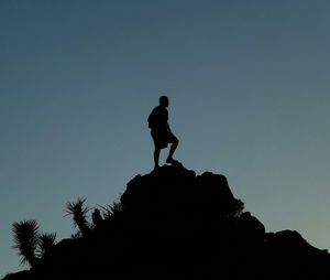 Low angle view of silhouette tree against clear sky