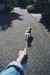 Low section of woman on street