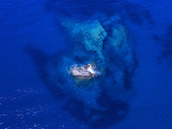 High angle view of underwater view of sea