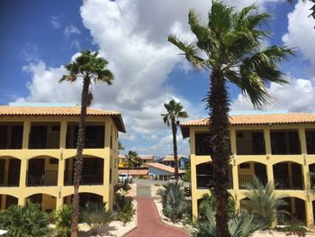 Palm trees and houses against sky