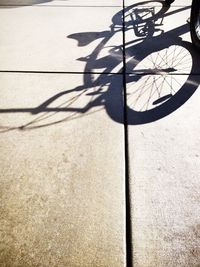 Shadow of tree on the wall