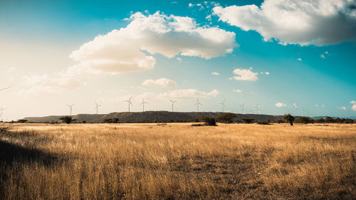 Wind farm at baní, dominican republic