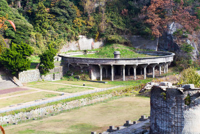 Trees growing in a park