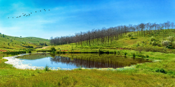 Scenic view of calm lake