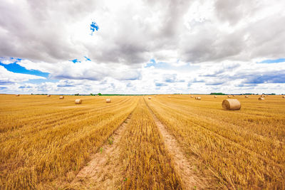 Scenic view of agricultural field against sky