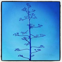 Low angle view of tree against clear blue sky