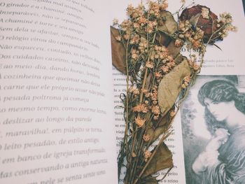 Dried flower on open book