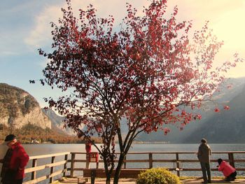 Rear view of people standing by tree against sky