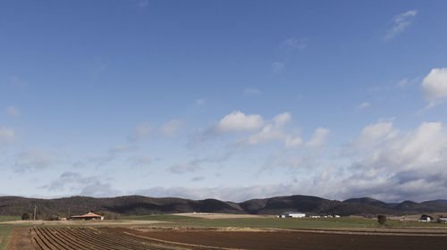 Scenic view of agricultural field against sky