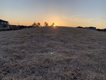 Scenic view of field against sky during sunset