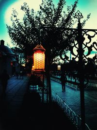 Silhouette of trees in city