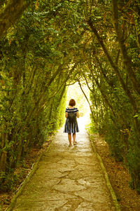 Rear view of woman walking on footpath in forest