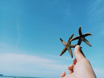 Close-up of hand holding starfish against blue sky