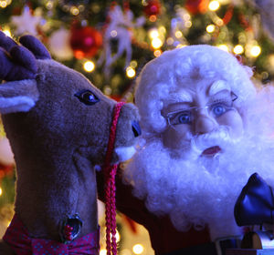 Portrait of boy with christmas tree at night