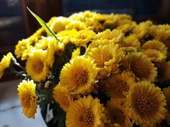 Close-up of yellow daisy flowers