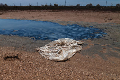 Waste by the ocean. a river of toxic chemical waste